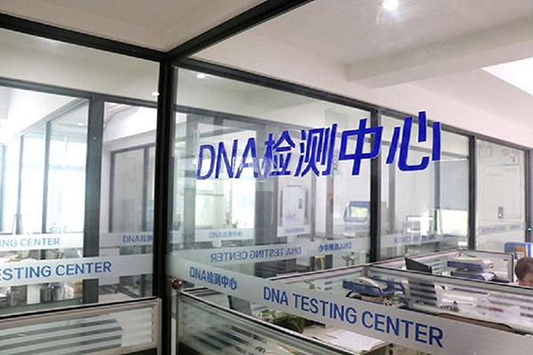ƸDNA